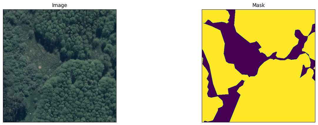 satellite image VS Mask